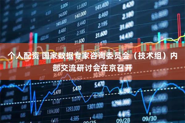 個(gè)人配資 國家數(shù)據(jù)專家咨詢委員會(huì)（技術(shù)組）內(nèi)部交流研討會(huì)在京召開